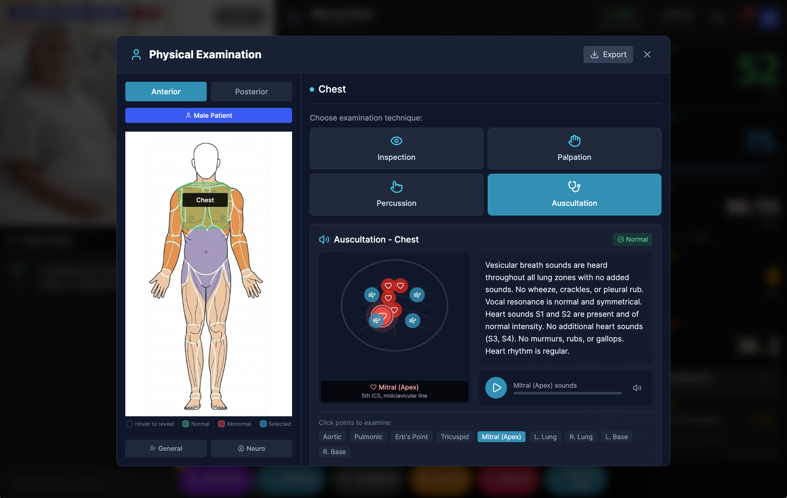 Physical examination interface with body map and auscultation